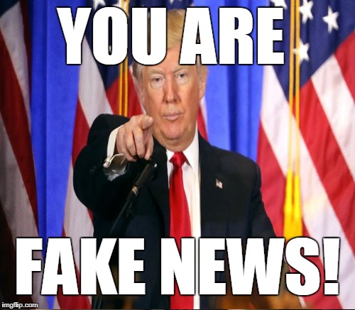 YOU ARE FAKE NEWS! | made w/ Imgflip meme maker