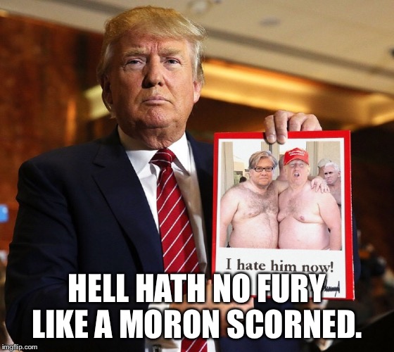  Scorned Trump
 | HELL HATH NO FURY LIKE A MORON SCORNED. | image tagged in donald trump,steve bannon,scorned,fire and fury,moron | made w/ Imgflip meme maker