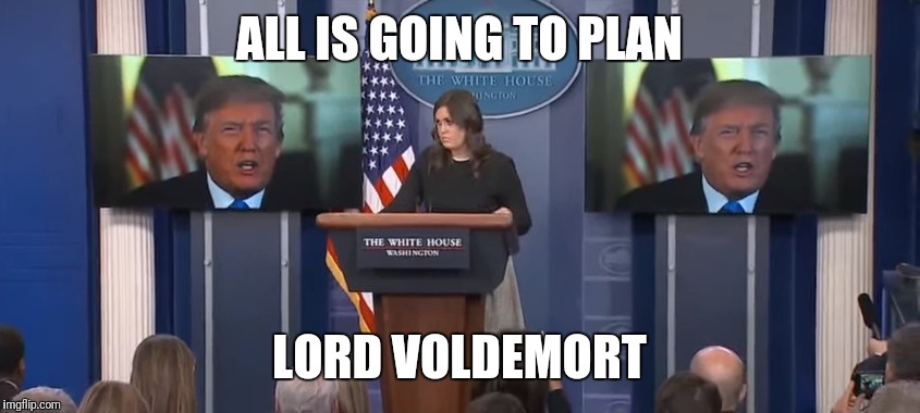 Death Eaters at the White House | ALL IS GOING TO PLAN; LORD VOLDEMORT | image tagged in voldemort,donald trump | made w/ Imgflip meme maker