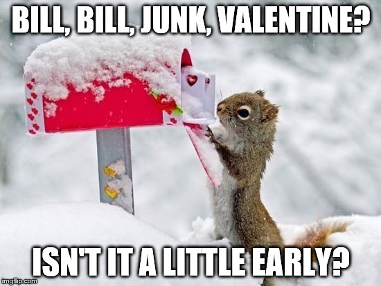 Valentine's is just 40 days away | BILL, BILL, JUNK, VALENTINE? ISN'T IT A LITTLE EARLY? | image tagged in squirrel,valentine's day,valentines | made w/ Imgflip meme maker