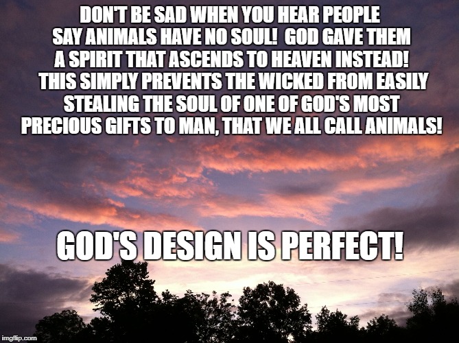 DON'T BE SAD WHEN YOU HEAR PEOPLE SAY ANIMALS HAVE NO SOUL!  GOD GAVE THEM A SPIRIT THAT ASCENDS TO HEAVEN INSTEAD!  THIS SIMPLY PREVENTS THE WICKED FROM EASILY STEALING THE SOUL OF ONE OF GOD'S MOST PRECIOUS GIFTS TO MAN, THAT WE ALL CALL ANIMALS! GOD'S DESIGN IS PERFECT! | image tagged in sandy's sky | made w/ Imgflip meme maker