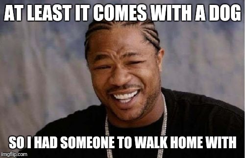 Yo Dawg Heard You Meme | AT LEAST IT COMES WITH A DOG SO I HAD SOMEONE TO WALK HOME WITH | image tagged in memes,yo dawg heard you | made w/ Imgflip meme maker