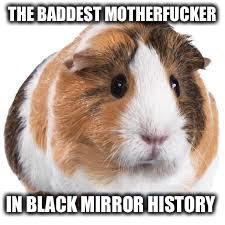 Black mirror  | image tagged in black mirror,funny memes,tv show,netflix,guinea pig,memes | made w/ Imgflip meme maker