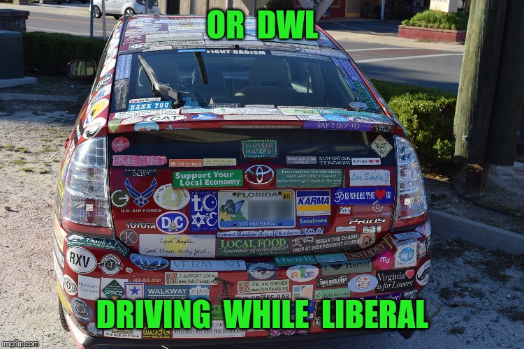 OR  DWL DRIVING  WHILE  LIBERAL | made w/ Imgflip meme maker