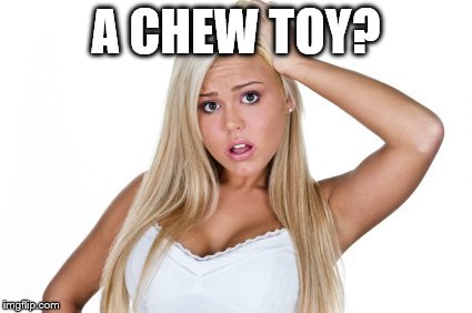 dumb blonde | A CHEW TOY? | image tagged in dumb blonde | made w/ Imgflip meme maker