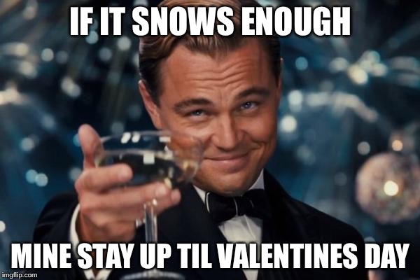 Leonardo Dicaprio Cheers Meme | IF IT SNOWS ENOUGH MINE STAY UP TIL VALENTINES DAY | image tagged in memes,leonardo dicaprio cheers | made w/ Imgflip meme maker