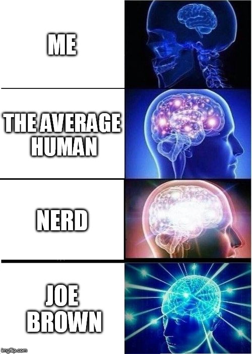 Expanding Brain Meme | ME; THE AVERAGE HUMAN; NERD; JOE BROWN | image tagged in memes,expanding brain | made w/ Imgflip meme maker