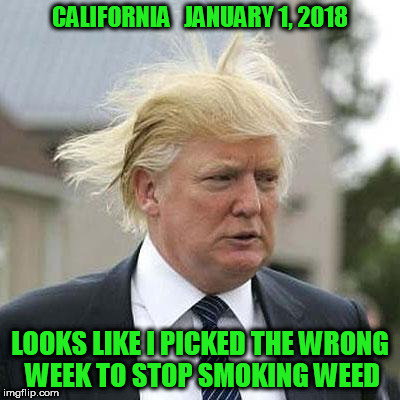 Donald Trump | CALIFORNIA   JANUARY 1, 2018; LOOKS LIKE I PICKED THE WRONG WEEK TO STOP SMOKING WEED | image tagged in donald trump,california,weed,cannabis,new year 2018,airplane wrong week | made w/ Imgflip meme maker