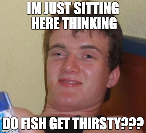 10 Guy Meme | IM JUST SITTING HERE THINKING; DO FISH GET THIRSTY??? | image tagged in memes,10 guy | made w/ Imgflip meme maker