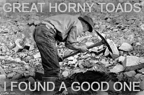 GREAT HORNY TOADS I FOUND A GOOD ONE | made w/ Imgflip meme maker