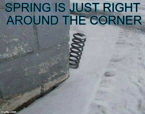 spring is just right around the corner  | SPRING IS JUST RIGHT AROUND THE CORNER | image tagged in spring | made w/ Imgflip meme maker
