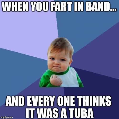 Success Kid Meme | WНEN YOU FART IN BAND... AND EVERY ONE THINKS IT WAS A TUBA | image tagged in memes,success kid | made w/ Imgflip meme maker