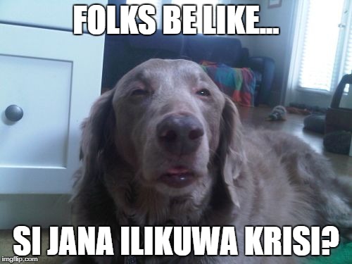 High Dog | FOLKS BE LIKE... SI JANA ILIKUWA KRISI? | image tagged in memes,high dog | made w/ Imgflip meme maker