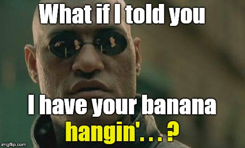 Matrix Morpheus Meme | What if I told you hangin'. . . ? I have your banana | image tagged in memes,matrix morpheus | made w/ Imgflip meme maker