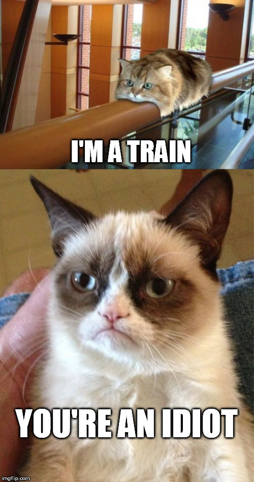 Choo choo | I'M A TRAIN; YOU'RE AN IDIOT | image tagged in grumpy cat,you're an idiot | made w/ Imgflip meme maker