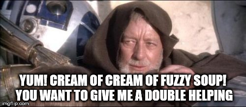 These Aren't The Droids You Were Looking For Meme | YUM! CREAM OF CREAM OF FUZZY SOUP! YOU WANT TO GIVE ME A DOUBLE HELPING | image tagged in memes,these arent the droids you were looking for | made w/ Imgflip meme maker
