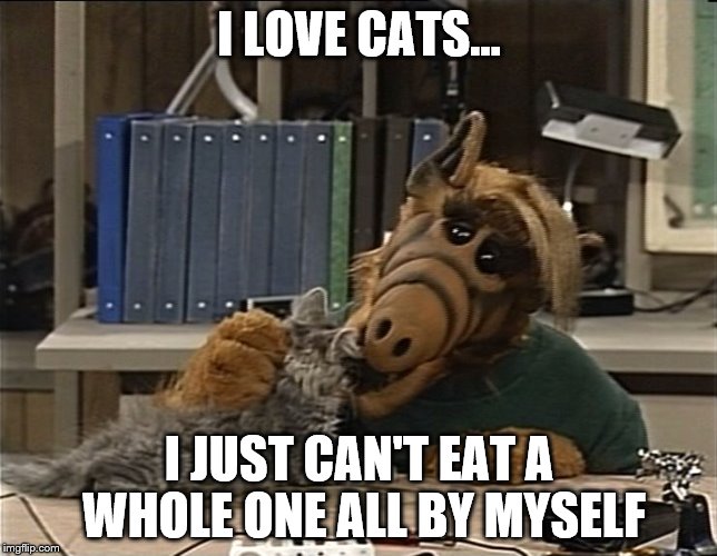 Alf eating cat | I LOVE CATS... I JUST CAN'T EAT A WHOLE ONE ALL BY MYSELF | image tagged in alf eating cat | made w/ Imgflip meme maker