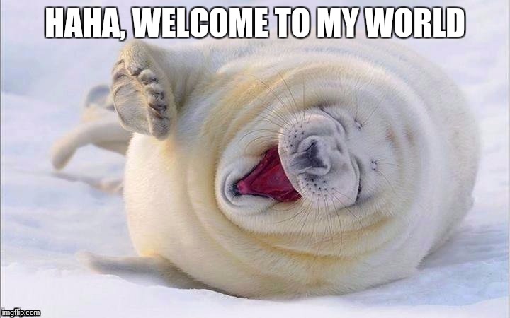 HAHA, WELCOME TO MY WORLD | made w/ Imgflip meme maker