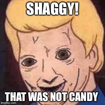 Don’t do drugggggs | SHAGGY! THAT WAS NOT CANDY | image tagged in drugs,funny | made w/ Imgflip meme maker