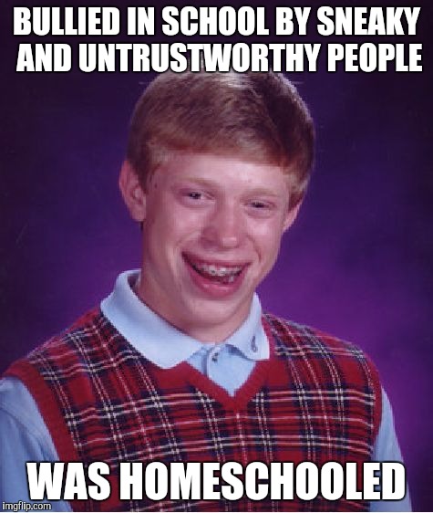 Bad Luck Brian Meme | BULLIED IN SCHOOL BY SNEAKY AND UNTRUSTWORTHY PEOPLE WAS HOMESCHOOLED | image tagged in memes,bad luck brian | made w/ Imgflip meme maker