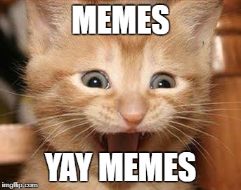 Excited Cat | MEMES; YAY MEMES | image tagged in memes,excited cat | made w/ Imgflip meme maker