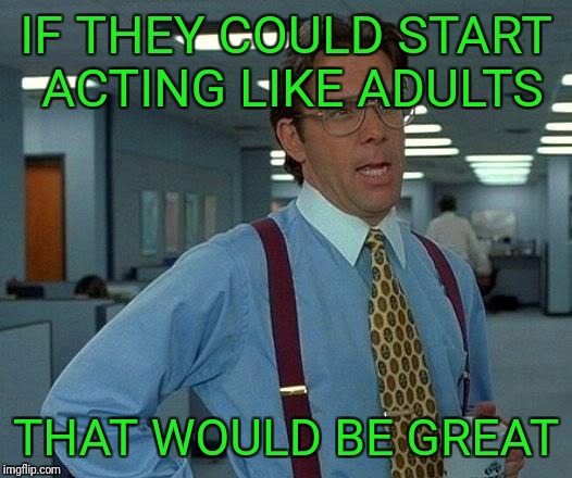 That Would Be Great Meme | IF THEY COULD START ACTING LIKE ADULTS THAT WOULD BE GREAT | image tagged in memes,that would be great | made w/ Imgflip meme maker