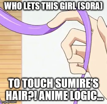 Aikatsu! Logic (not really something to make a big deal of..) | WHO LETS THIS GIRL (SORA); TO TOUCH SUMIRE'S HAIR?!
ANIME LOGIC... | image tagged in aikatsu,sora,sumire | made w/ Imgflip meme maker