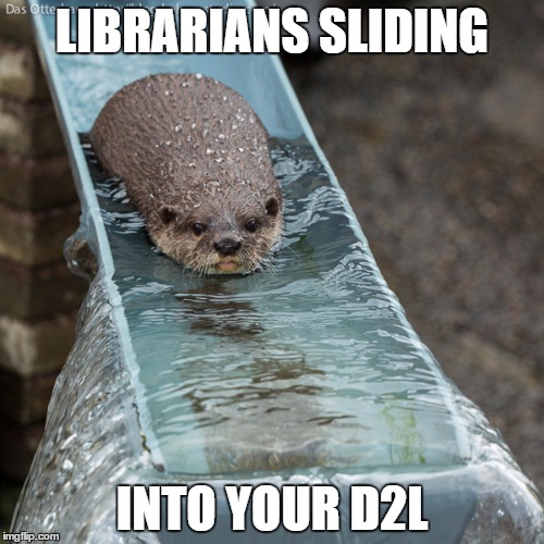 Otter Slide | LIBRARIANS SLIDING; INTO YOUR D2L | image tagged in otter slide | made w/ Imgflip meme maker