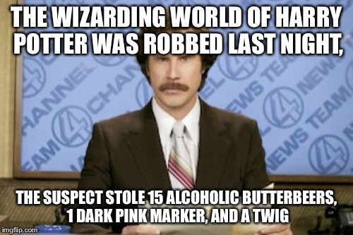 Ron Burgundy Meme | THE WIZARDING WORLD OF HARRY POTTER WAS ROBBED LAST NIGHT, THE SUSPECT STOLE 15 ALCOHOLIC BUTTERBEERS, 1 DARK PINK MARKER, AND A TWIG | image tagged in memes,ron burgundy | made w/ Imgflip meme maker