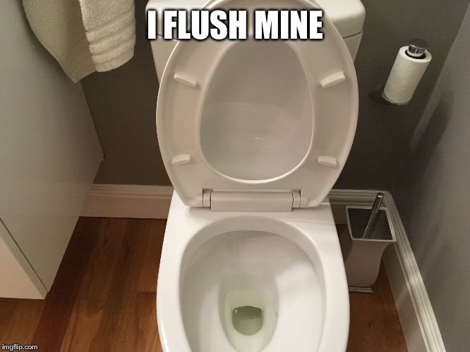 Have a problem? Flush it! | I FLUSH MINE | image tagged in have a problem flush it | made w/ Imgflip meme maker