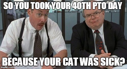 The Bobs Meme | SO YOU TOOK YOUR 40TH PTO DAY; BECAUSE YOUR CAT WAS SICK? | image tagged in memes,the bobs | made w/ Imgflip meme maker