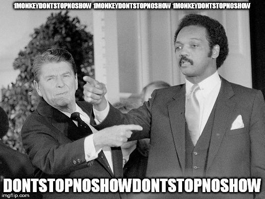 1MONKEYDONTSTOPNOSHOW
1MONKEYDONTSTOPNOSHOW
1MONKEYDONTSTOPNOSHOW; DONTSTOPNOSHOWDONTSTOPNOSHOW | made w/ Imgflip meme maker