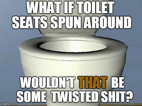 Principles in Quasi-Advanced Plumbing | WHAT IF TOILET SEATS SPUN AROUND; THAT; WOULDN'T  THAT  BE  SOME  TWISTED SHIT? | image tagged in funny | made w/ Imgflip meme maker