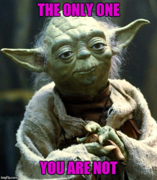 Star Wars Yoda Meme | THE ONLY ONE YOU ARE NOT | image tagged in memes,star wars yoda | made w/ Imgflip meme maker
