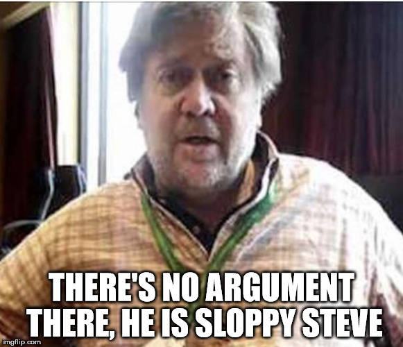 President Steve Bannon | THERE'S NO ARGUMENT THERE, HE IS SLOPPY STEVE | image tagged in president steve bannon | made w/ Imgflip meme maker