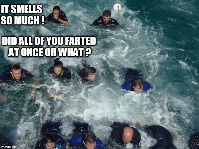 Group Farting in the water ! | IT SMELLS SO MUCH ! DID ALL OF YOU FARTED AT ONCE OR WHAT ? | image tagged in group fart,water fart,farting in water,smelly,fart smell,victim | made w/ Imgflip meme maker