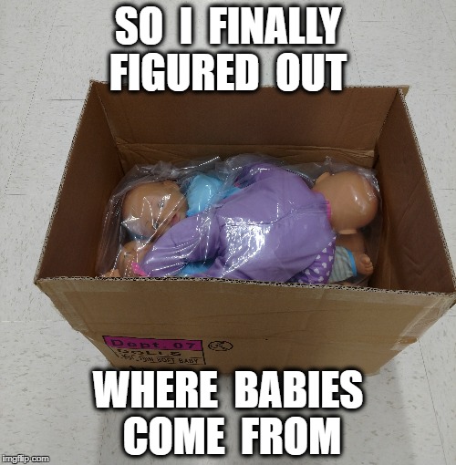 The stork is a lie... There is only China | SO  I  FINALLY FIGURED  OUT; WHERE  BABIES COME  FROM | image tagged in funny memes,babies | made w/ Imgflip meme maker