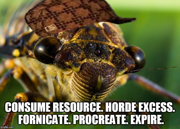 You and I. | CONSUME RESOURCE. HORDE EXCESS. FORNICATE. PROCREATE. EXPIRE. | image tagged in thug life,life sucks,the meaning of life,scumbag | made w/ Imgflip meme maker