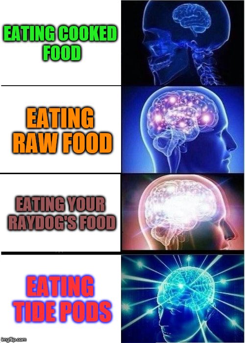 Tide pods, my dude | EATING COOKED FOOD; EATING RAW FOOD; EATING YOUR RAYDOG'S FOOD; EATING TIDE PODS | image tagged in memes,expanding brain,tide pods | made w/ Imgflip meme maker