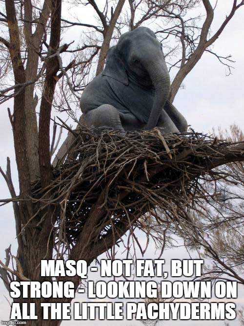 MASQ - NOT FAT, BUT STRONG - LOOKING DOWN ON ALL THE LITTLE PACHYDERMS | made w/ Imgflip meme maker