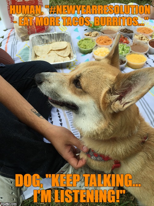 Human, "New Year Resolution - eat more tacos, burritos..." | HUMAN, "#NEWYEARRESOLUTION - EAT MORE TACOS, BURRITOS..."; DOG, "KEEP TALKING... I'M LISTENING!" | image tagged in new year resolutions | made w/ Imgflip meme maker