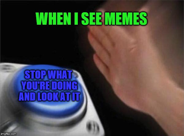 My life in a nutshell | WHEN I SEE MEMES; STOP WHAT YOU'RE DOING AND LOOK AT IT | image tagged in memes,blank nut button | made w/ Imgflip meme maker