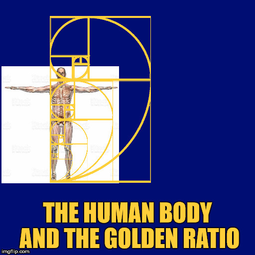 The human body and the Golden Ratio. | THE HUMAN BODY AND THE GOLDEN RATIO | image tagged in the human body,the golden ratio,life,beauty,math | made w/ Imgflip meme maker