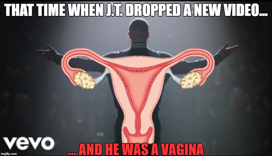 JT is Filthy... and looks like a Lady Part | THAT TIME WHEN J.T. DROPPED A NEW VIDEO... ... AND HE WAS A VAGINA | image tagged in jt,timberlake,video,filthy,manofthewoods | made w/ Imgflip meme maker