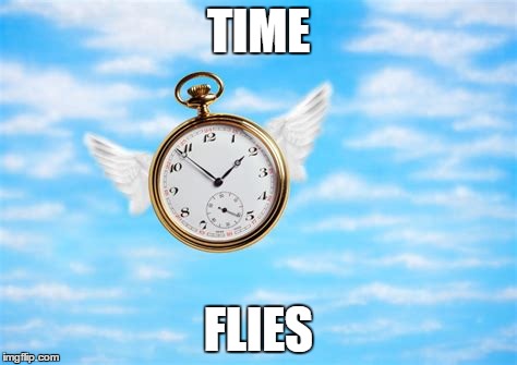 TIME FLIES | made w/ Imgflip meme maker