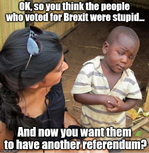 Skeptical third world kid |  OK, so you think the people who voted for Brexit were stupid... And now you want them to have another referendum? | image tagged in skeptical third world kid | made w/ Imgflip meme maker