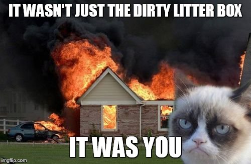 Let's Be Honest This Year | IT WASN'T JUST THE DIRTY LITTER BOX; IT WAS YOU | image tagged in memes,burn kitty,grumpy cat,funny cats,i hate you | made w/ Imgflip meme maker