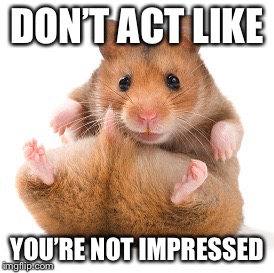 DON’T ACT LIKE; YOU’RE NOT IMPRESSED | image tagged in hairy ass | made w/ Imgflip meme maker
