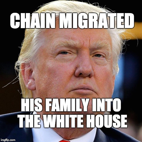 Chain migrated his family into the White House | CHAIN MIGRATED; HIS FAMILY INTO THE WHITE HOUSE | image tagged in trump,donaldtrump,maga | made w/ Imgflip meme maker