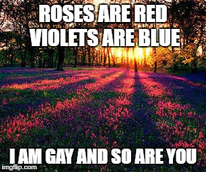 roses are red | ROSES ARE RED VIOLETS ARE BLUE; I AM GAY AND SO ARE YOU | image tagged in roses are red | made w/ Imgflip meme maker